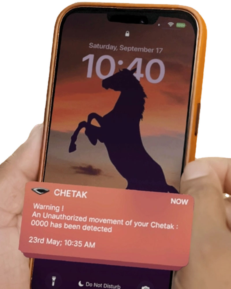 Service/Feature Image